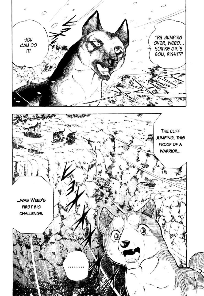 Ginga Densetsu Weed Chapter 30 page 8 - Chapter 30 : Proof of a Warrior
