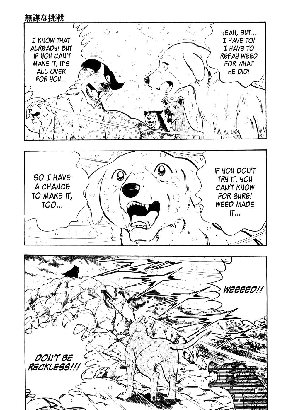 Ginga Densetsu Weed Chapter 31 page 10 - Chapter 31: A Reckless Challenge