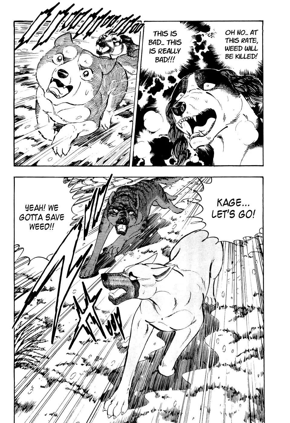 Ginga Densetsu Weed Chapter 31 page 5 - Chapter 31: A Reckless Challenge