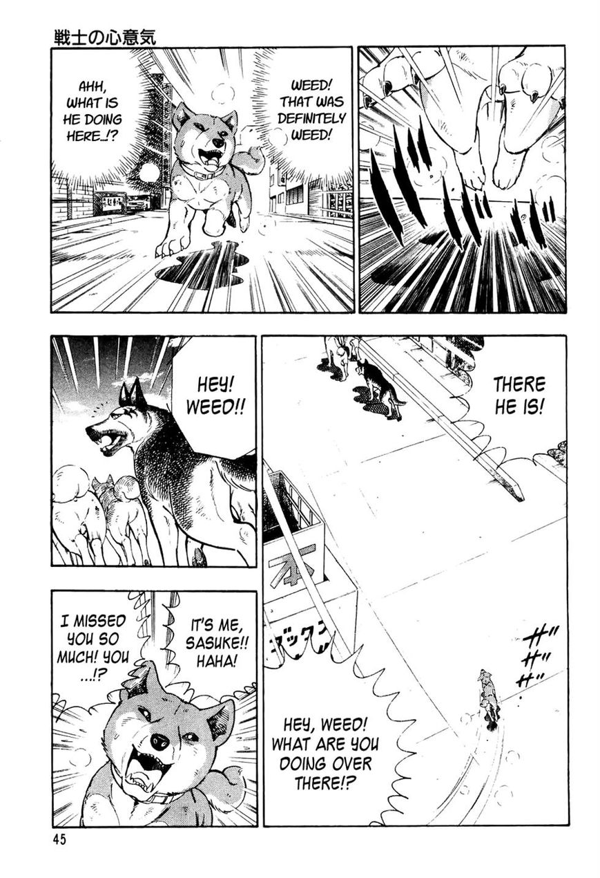 Ginga Densetsu Weed Chapter 32 page 19 - Chapter 32