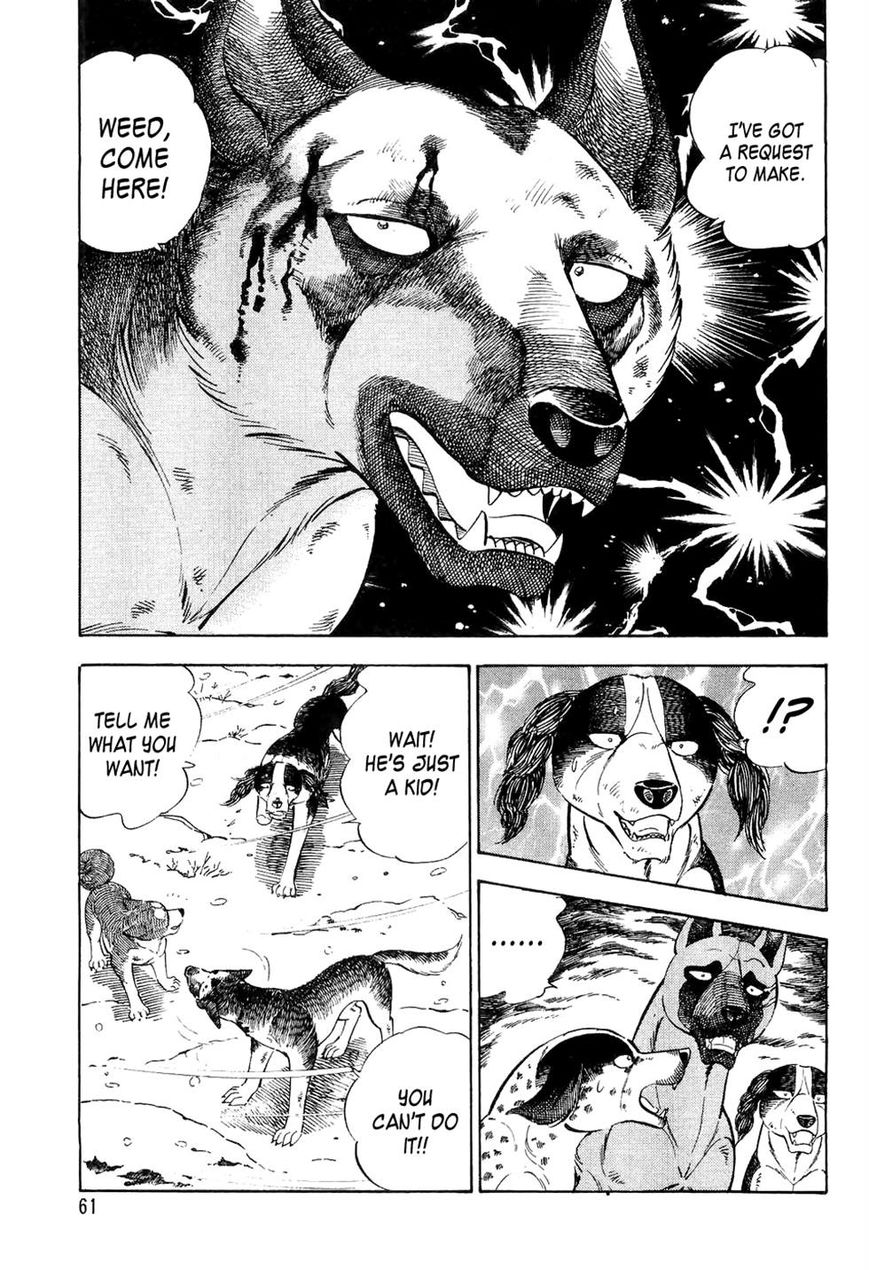 Ginga Densetsu Weed Chapter 33 page 15 - Chapter 33