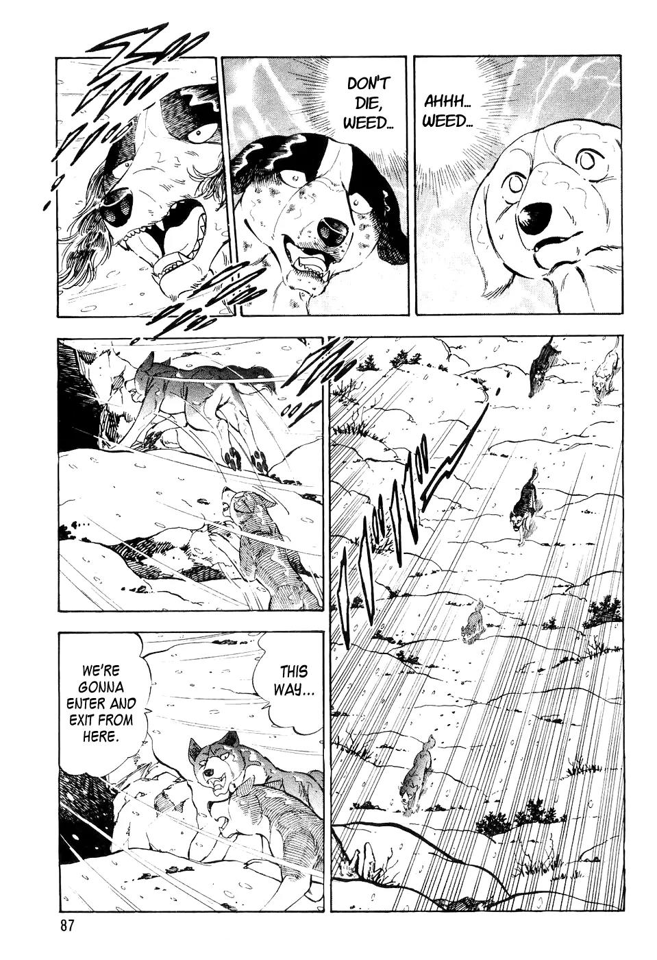 Ginga Densetsu Weed Chapter 34 page 20 - Chapter 34: Plan Start