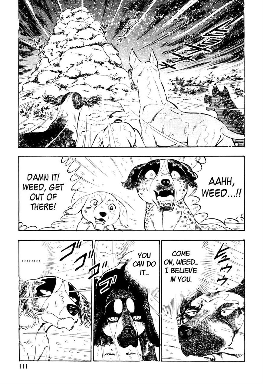 Ginga Densetsu Weed Chapter 35 page 22 - Chapter 35