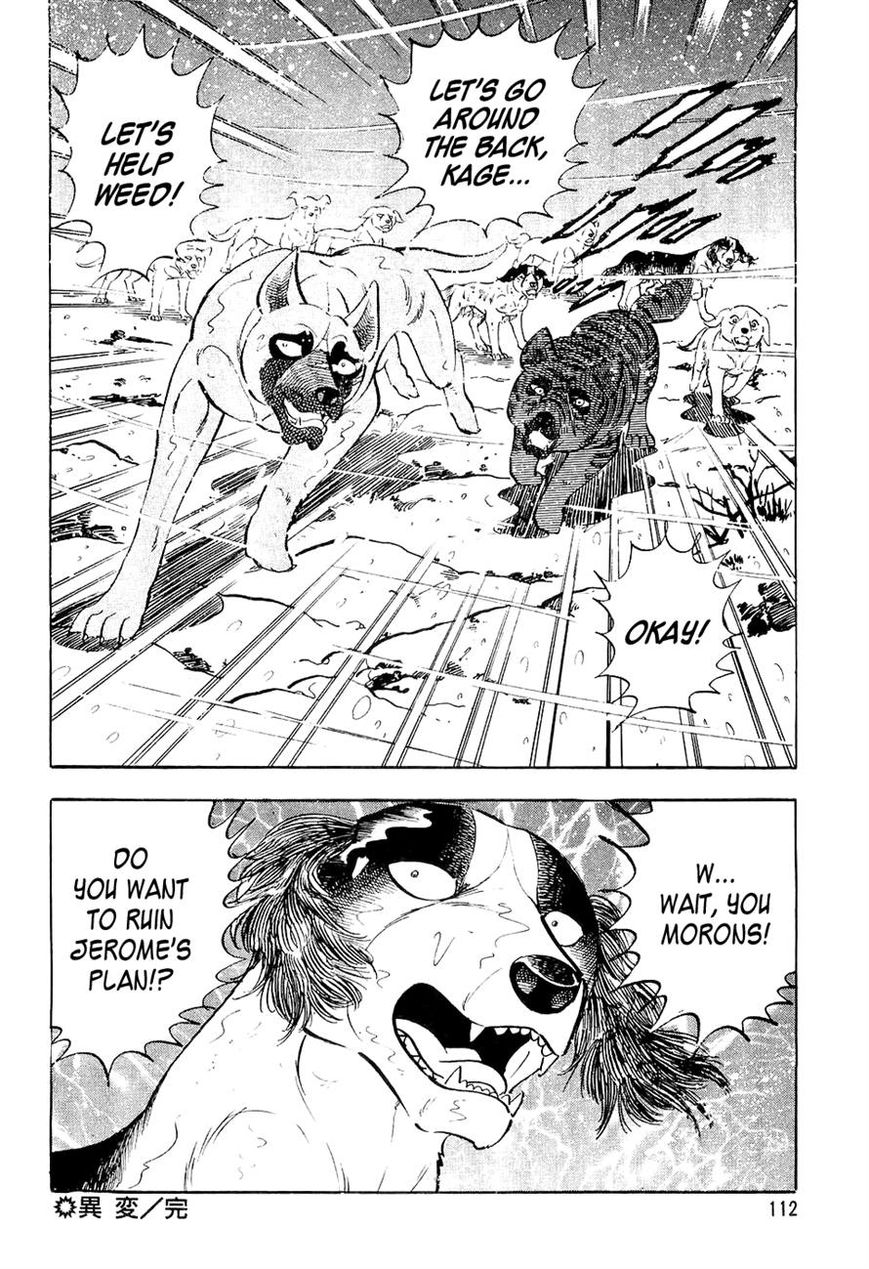 Ginga Densetsu Weed Chapter 35 page 23 - Chapter 35