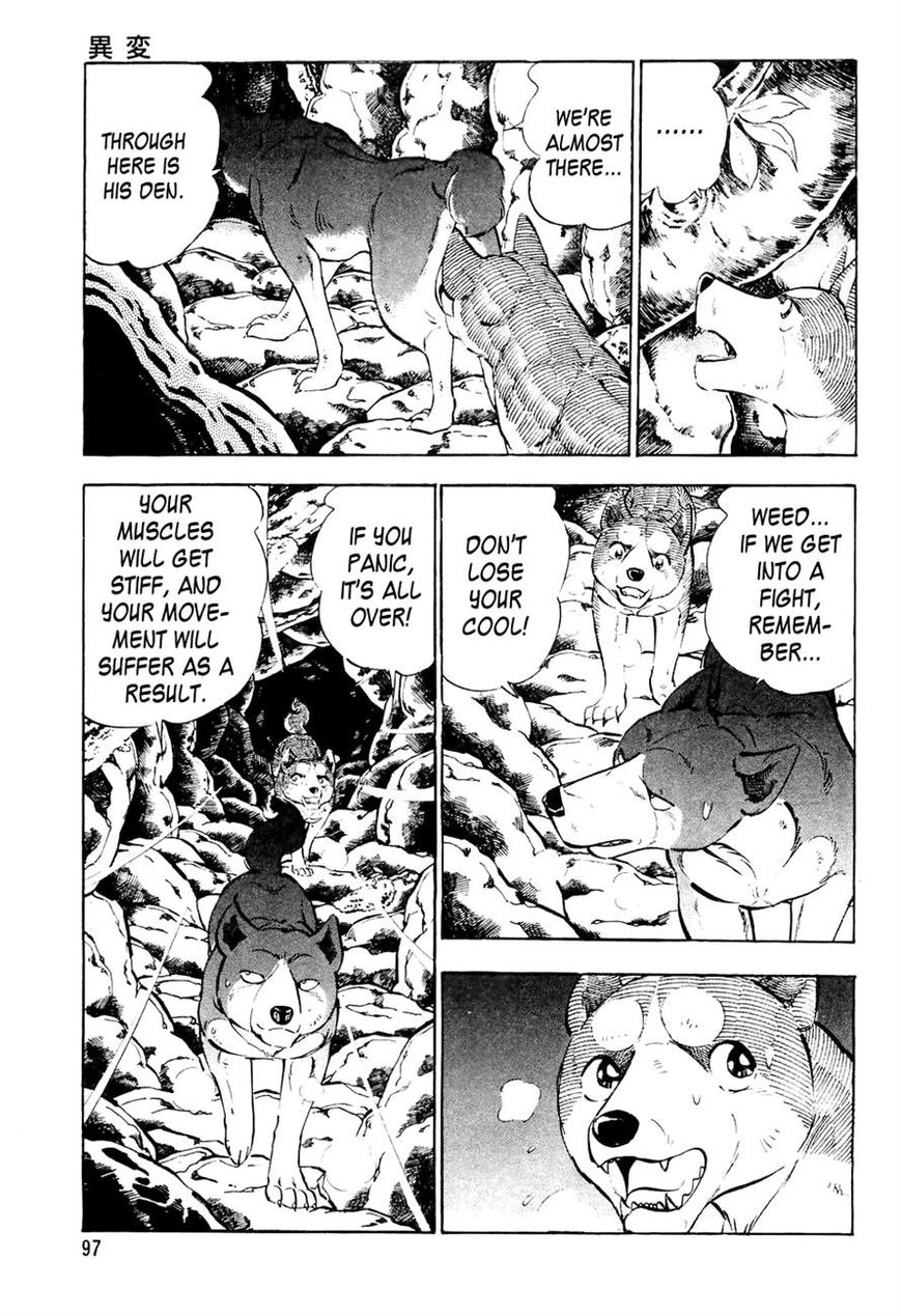 Ginga Densetsu Weed Chapter 35 page 8 - Chapter 35