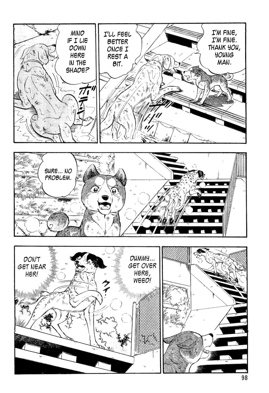 Ginga Densetsu Weed Chapter 4 page 9 - Chapter 4 : Confrontation