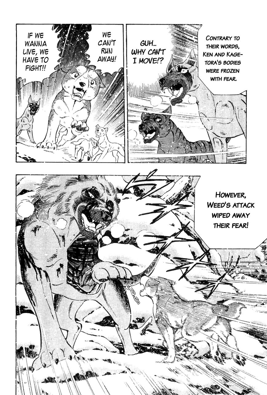 Ginga Densetsu Weed Chapter 40 page 21 - Chapter 40 : Revival