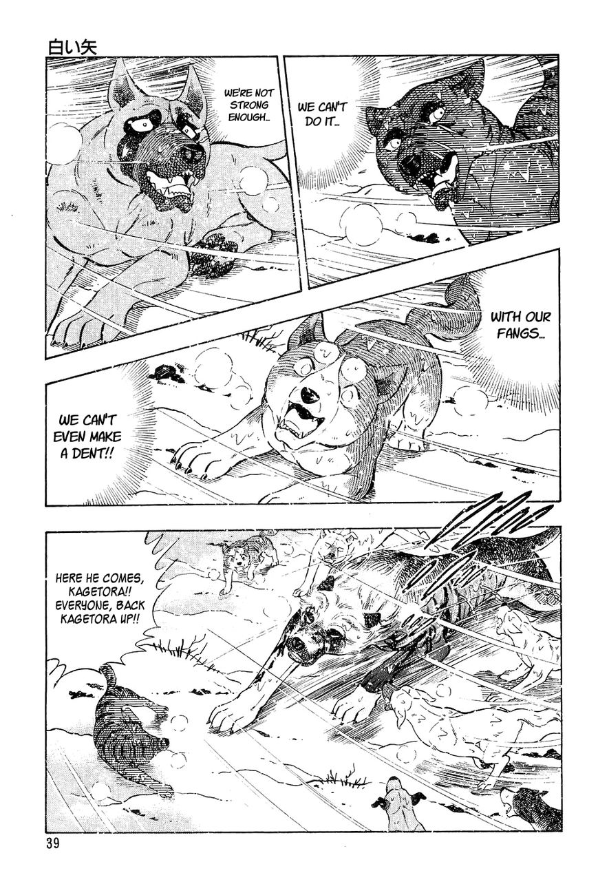 Ginga Densetsu Weed Chapter 41 page 14 - Chapter 41 : White Arrow