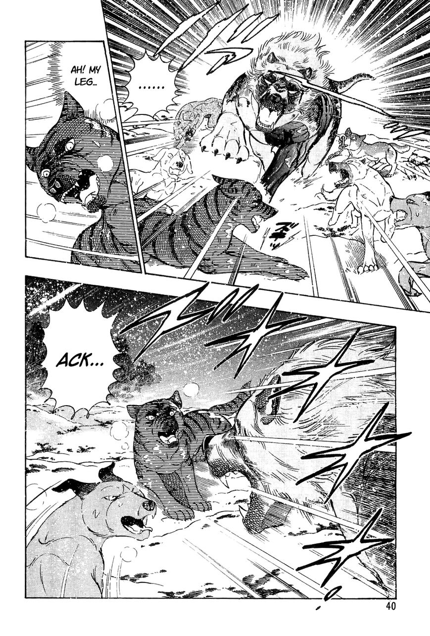 Ginga Densetsu Weed Chapter 41 page 15 - Chapter 41 : White Arrow