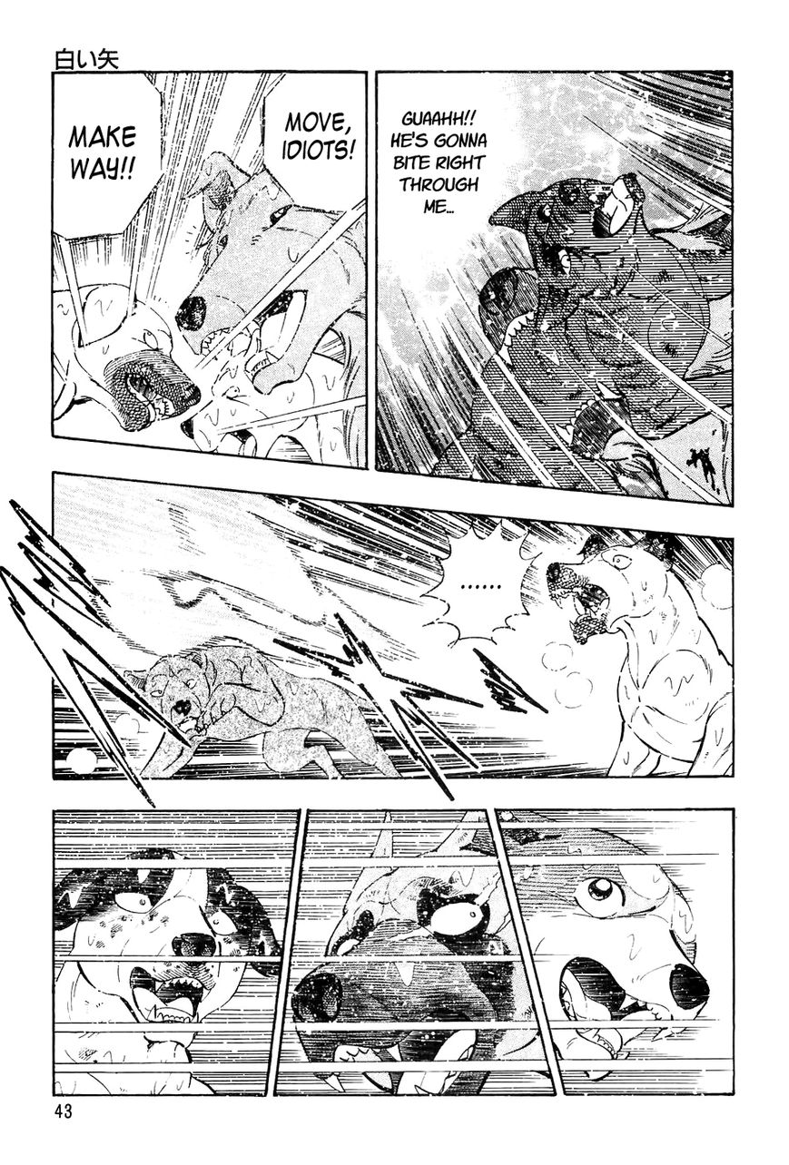 Ginga Densetsu Weed Chapter 41 page 18 - Chapter 41 : White Arrow