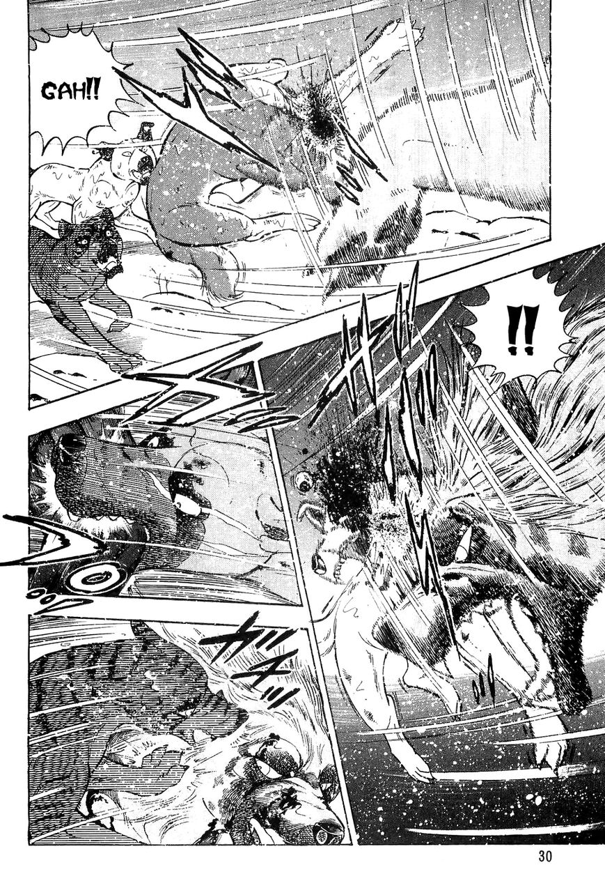 Ginga Densetsu Weed Chapter 41 page 5 - Chapter 41 : White Arrow