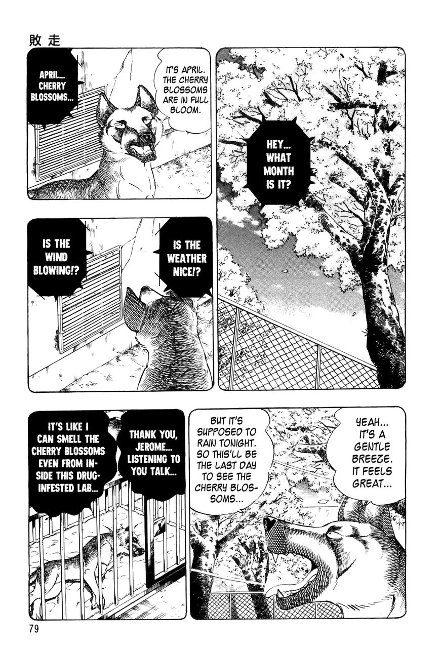 Ginga Densetsu Weed Chapter 43 page 10 - Chapter 43 : Retreat