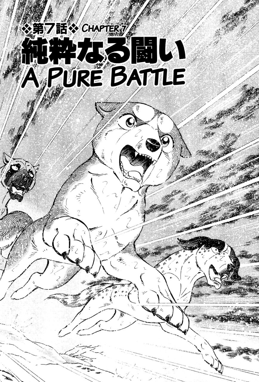 Ginga Densetsu Weed Chapter 46 page 2 - Chapter 46 : A Pure Battle