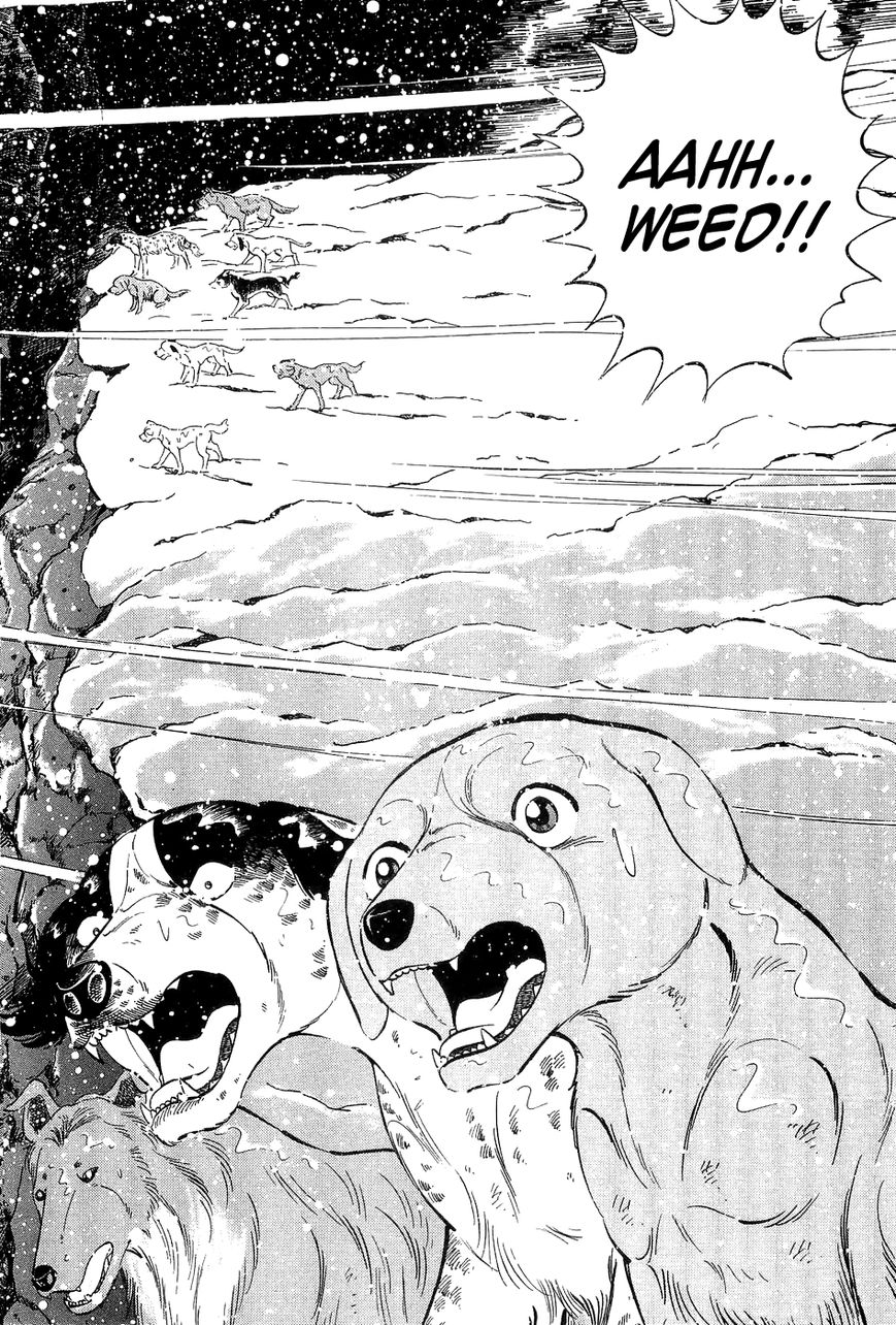Ginga Densetsu Weed Chapter 49 page 3 - Chapter 49 : Waterfall of Death
