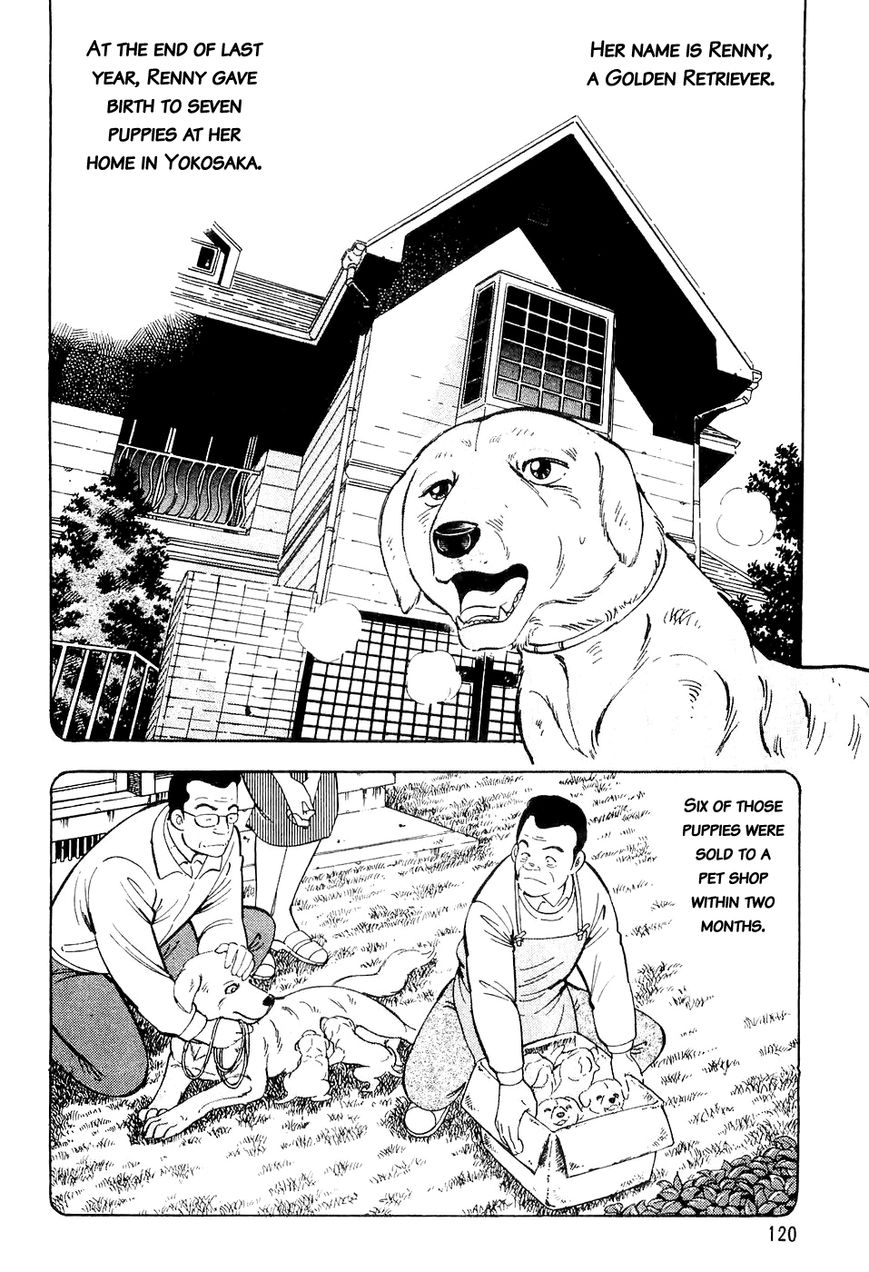 Ginga Densetsu Weed Chapter 5 page 11 - Chapter 5 : The State of Our Journey