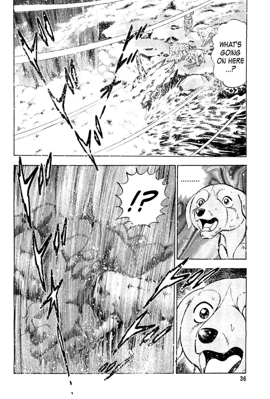 Ginga Densetsu Weed Chapter 50 page 10 - Chapter 50