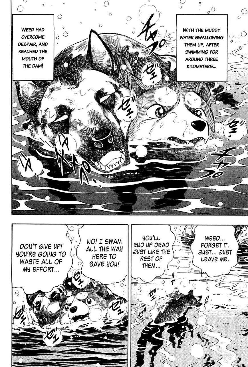 Ginga Densetsu Weed Chapter 51 page 10 - Chapter 51