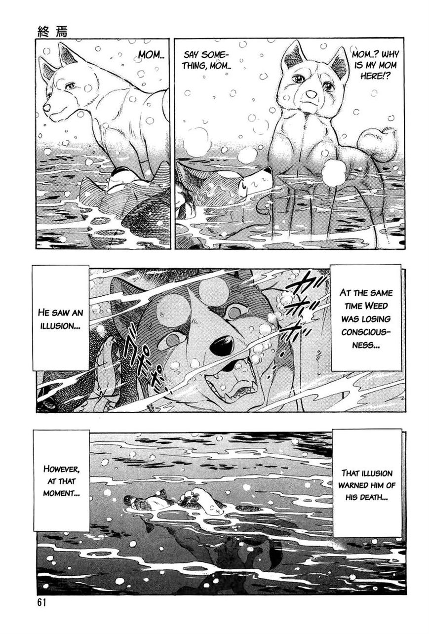 Ginga Densetsu Weed Chapter 51 page 13 - Chapter 51