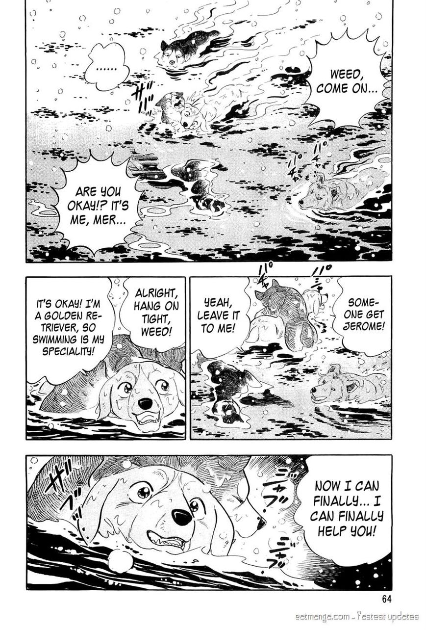 Ginga Densetsu Weed Chapter 51 page 16 - Chapter 51