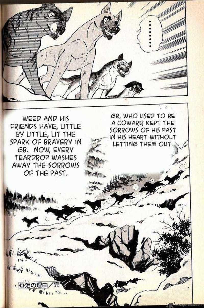 Ginga Densetsu Weed Chapter 60 page 12 - Chapter 60 : A Cause for Tears