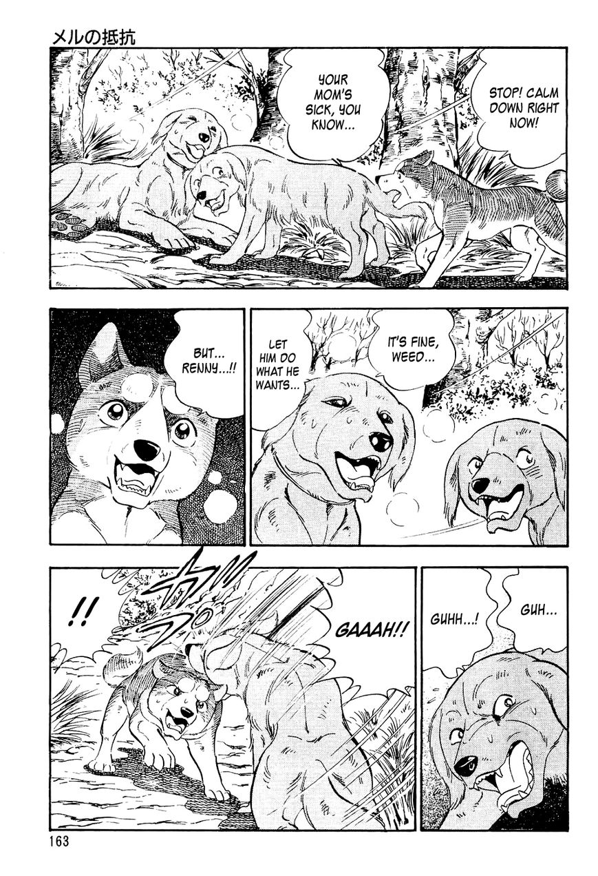 Ginga Densetsu Weed Chapter 7 page 14 - Chapter 7 : Mer's Resistance