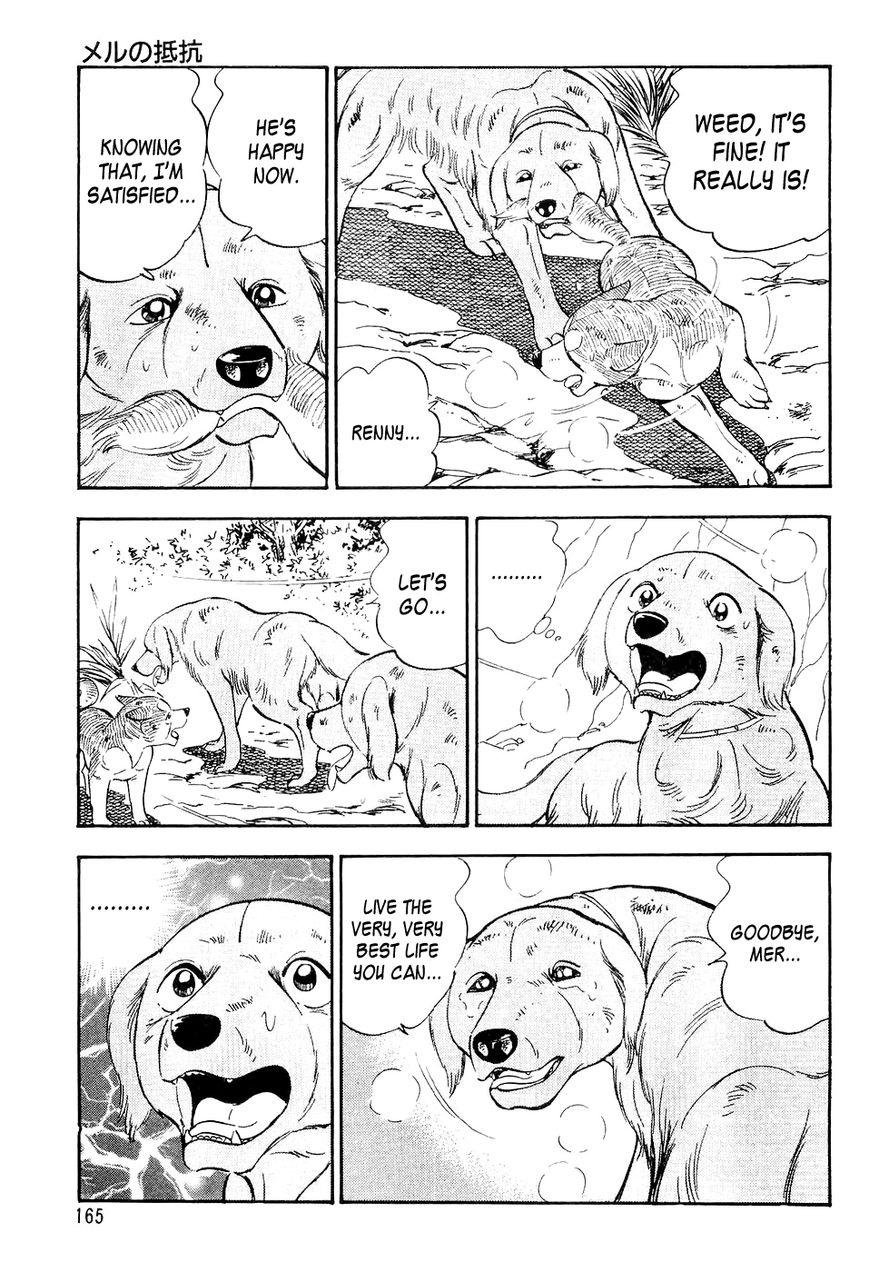 Ginga Densetsu Weed Chapter 7 page 16 - Chapter 7 : Mer's Resistance