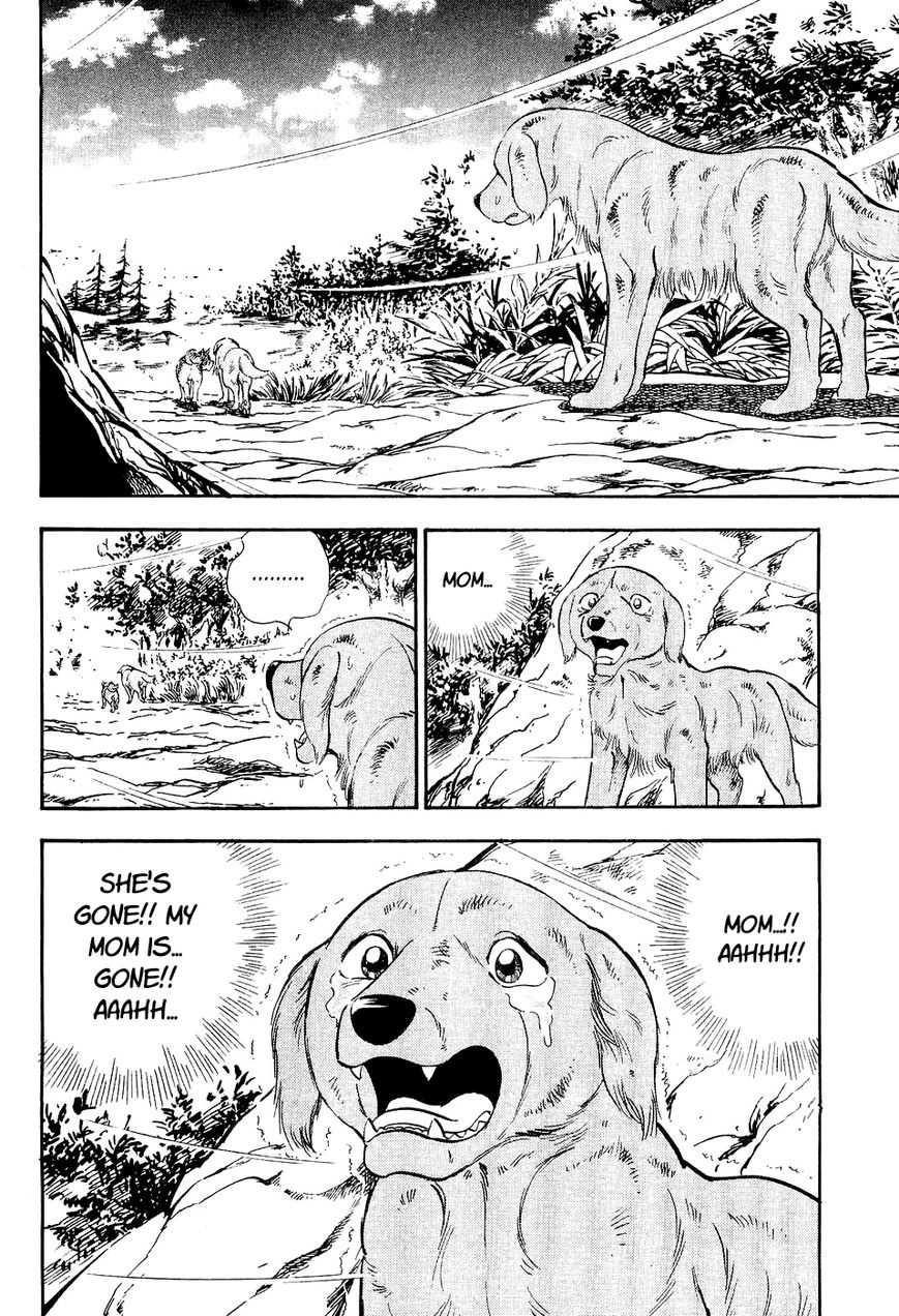 Ginga Densetsu Weed Chapter 7 page 17 - Chapter 7 : Mer's Resistance