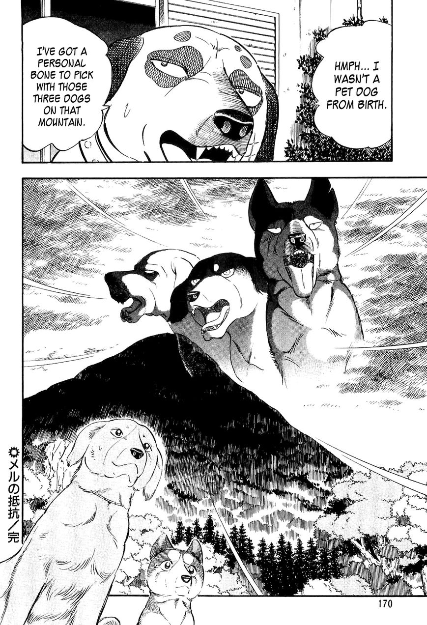 Ginga Densetsu Weed Chapter 7 page 21 - Chapter 7 : Mer's Resistance