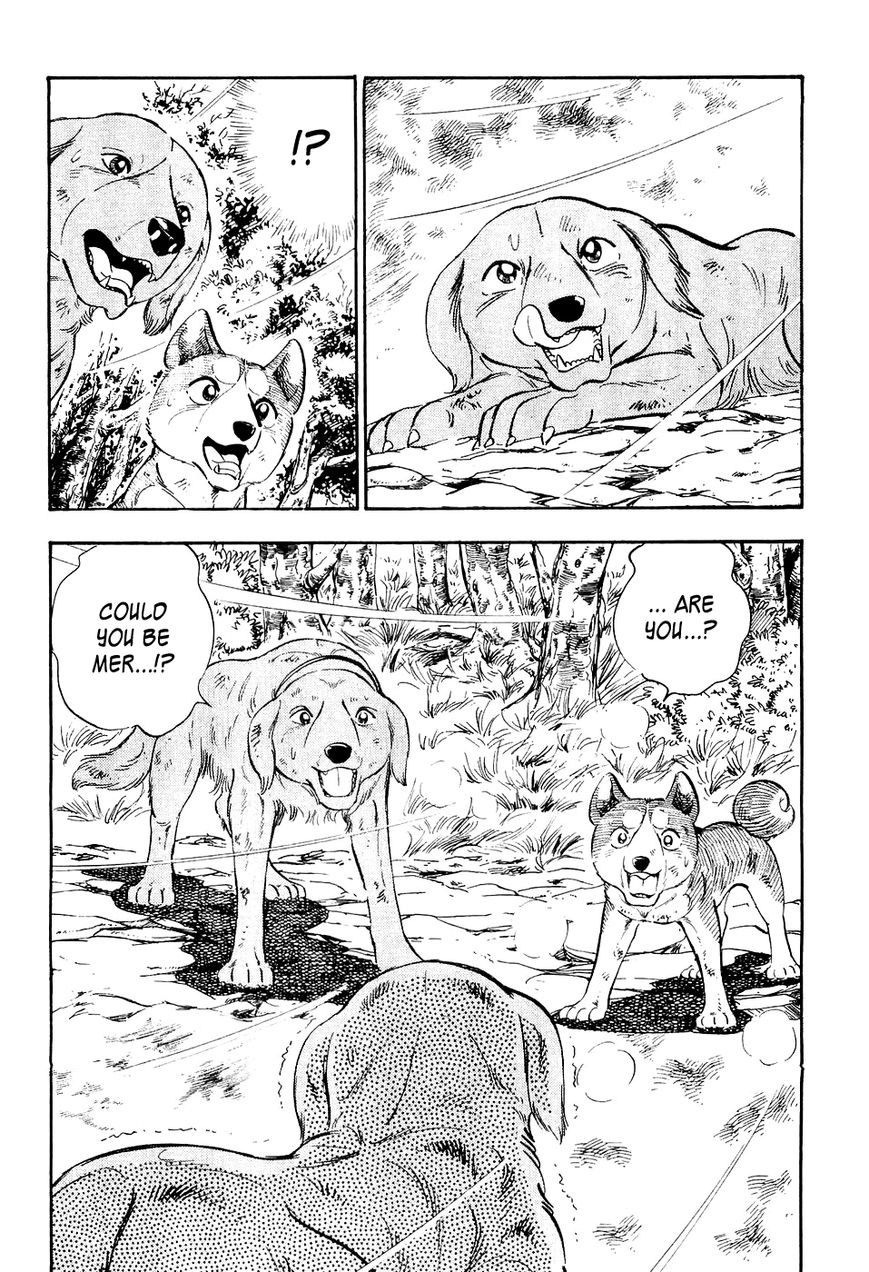 Ginga Densetsu Weed Chapter 7 page 5 - Chapter 7 : Mer's Resistance