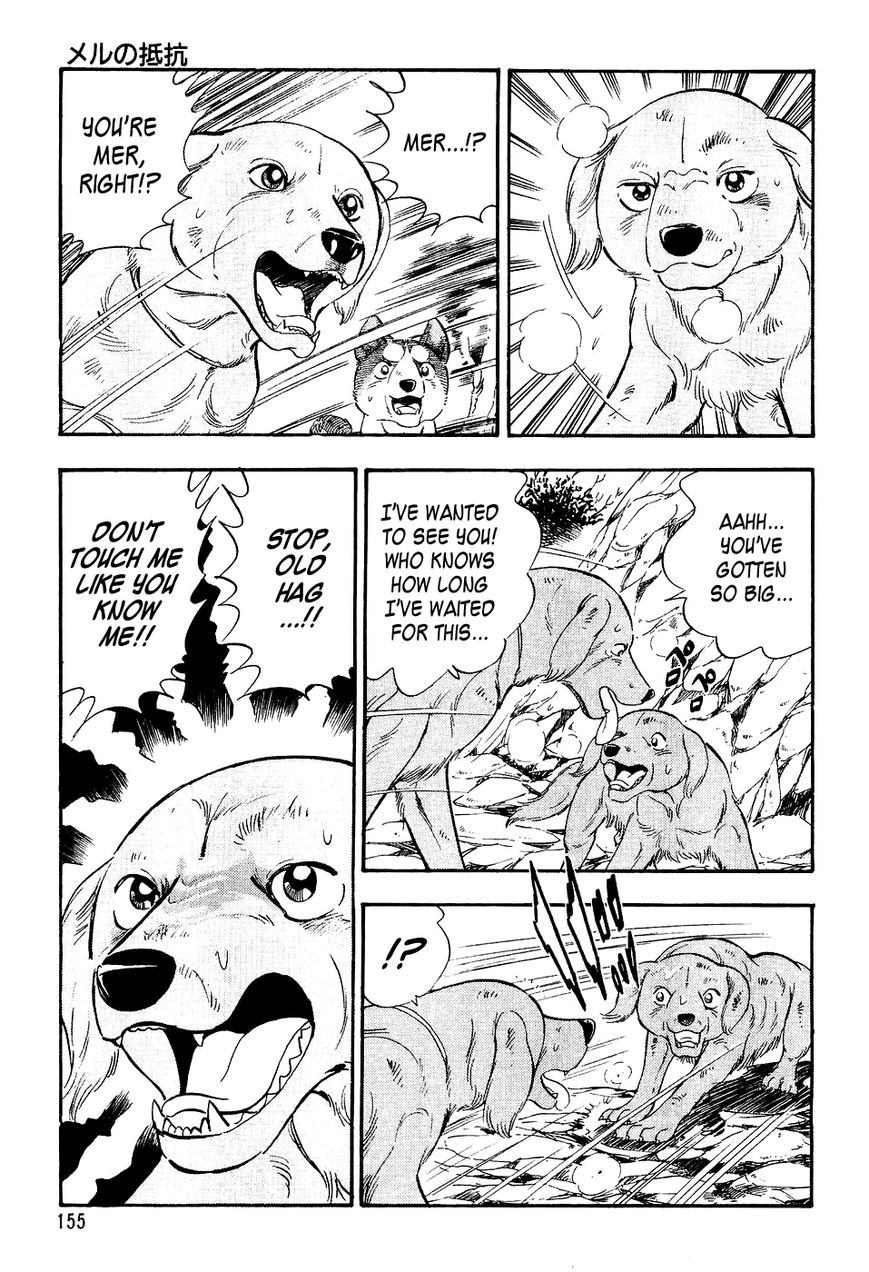 Ginga Densetsu Weed Chapter 7 page 6 - Chapter 7 : Mer's Resistance