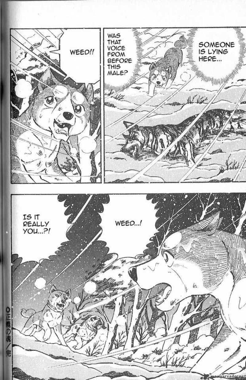 Ginga Densetsu Weed Chapter 77 page 12 - Chapter 77 : Righteous Soul