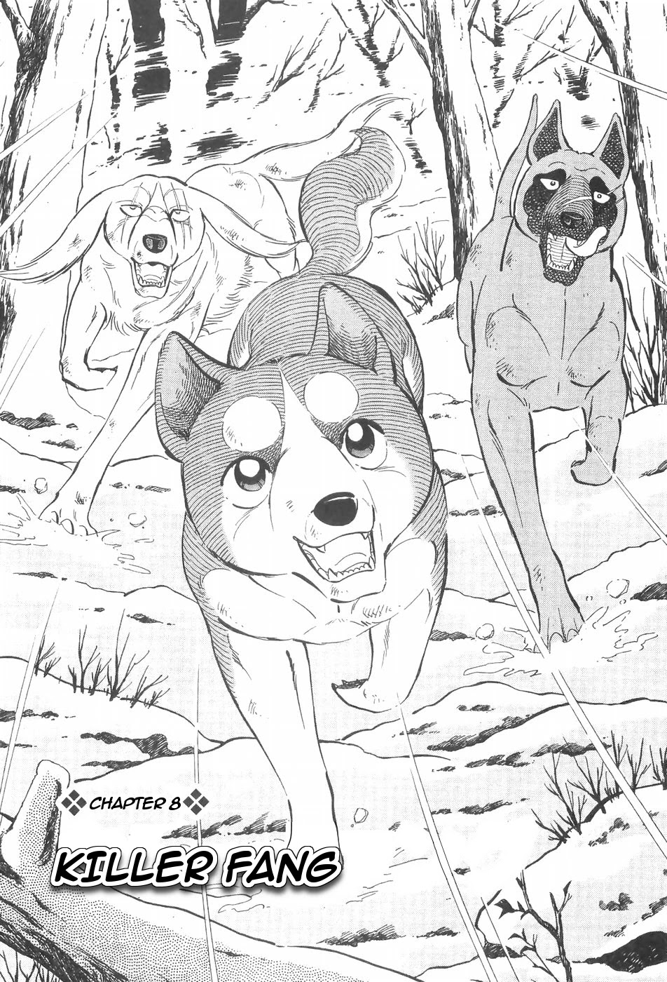 Ginga Densetsu Weed Chapter 92 page 1 - Chapter 92: Killer Fang