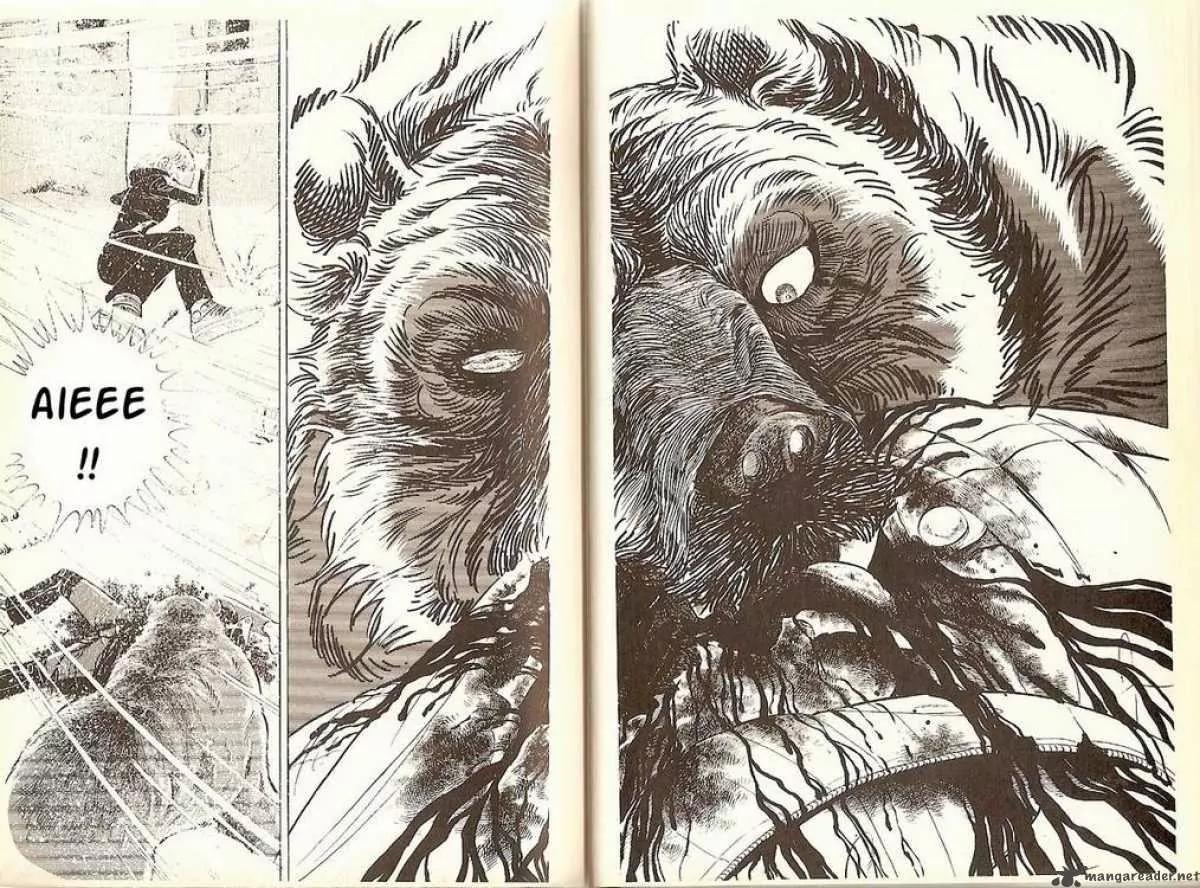 Ginga Nagareboshi Gin Chapter 1.1 page 17 - Vol.1 Chapter 1: Birth of the Silver Bearhound