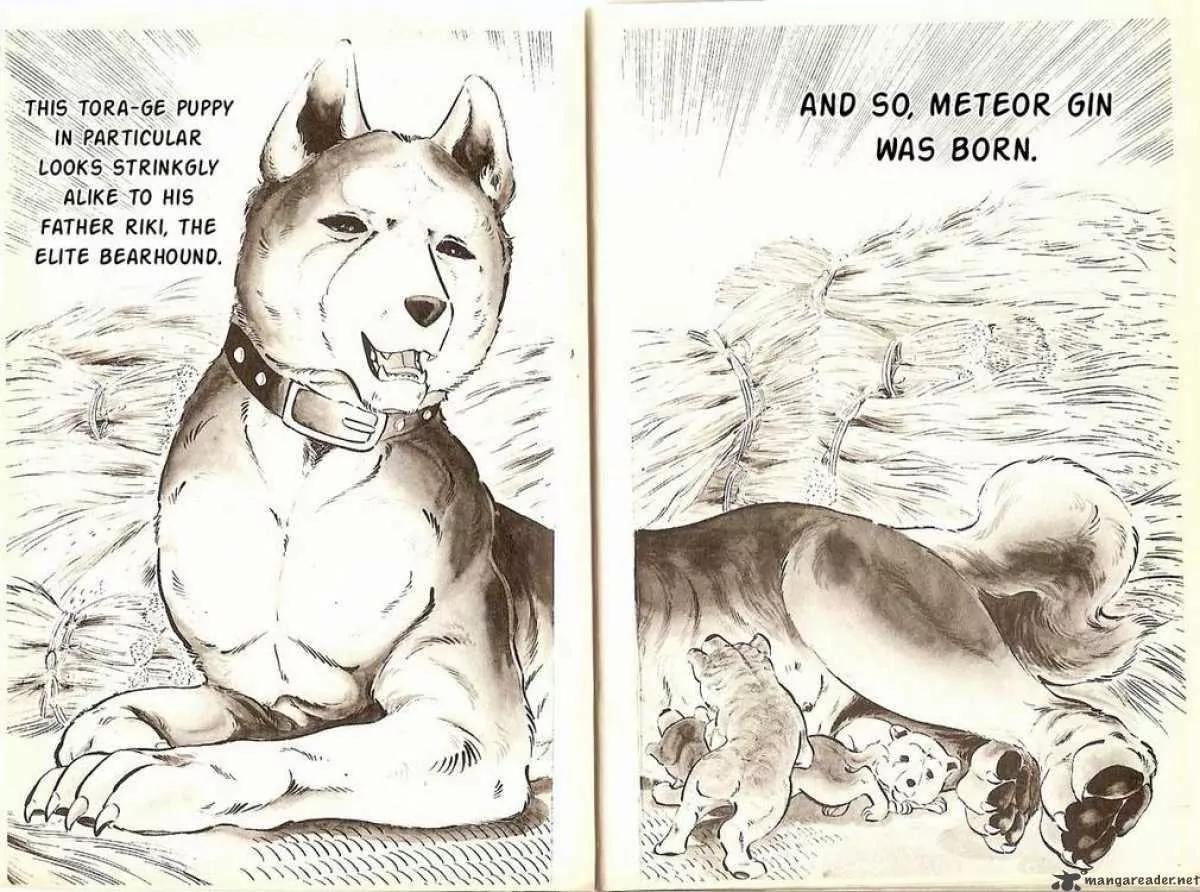 Ginga Nagareboshi Gin Chapter 1.1 page 9 - Vol.1 Chapter 1: Birth of the Silver Bearhound