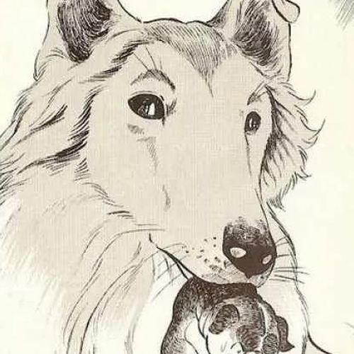 Ginga Nagareboshi Gin Vol.7 Chapter 1: The Last Moment of Kurojaki cover