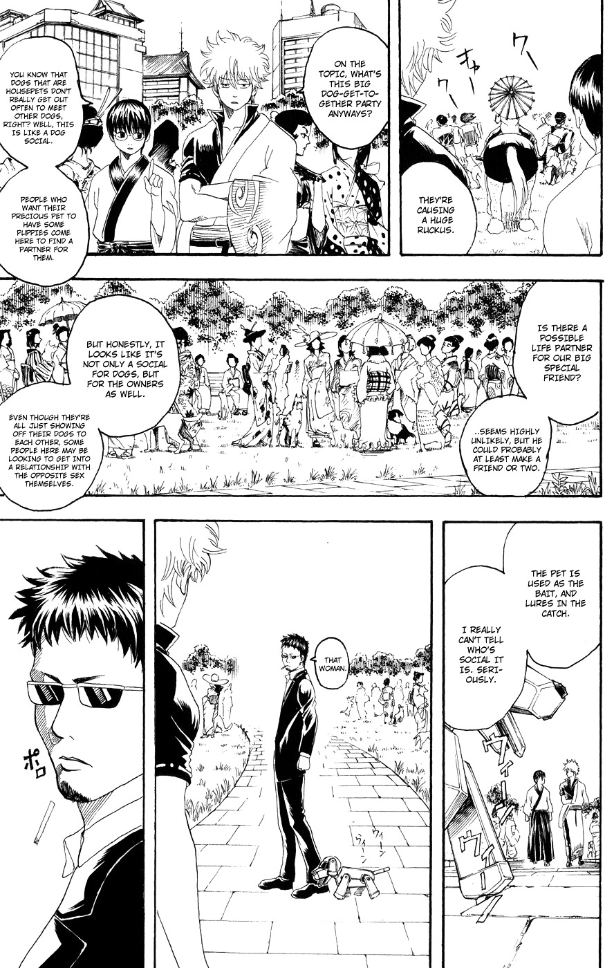 Gintama Chapter 126 page 8 - Chapter 126 : A Dog's Meatball Smells Quite Pleasant