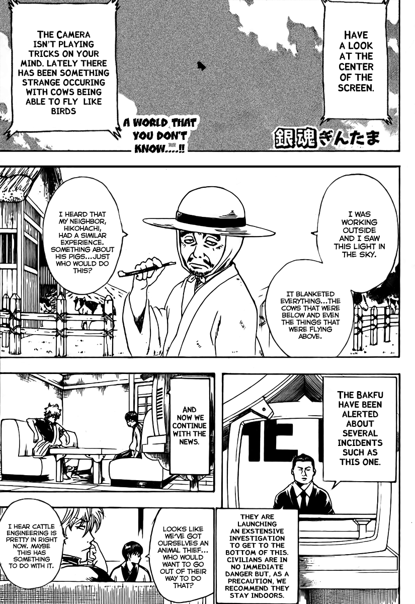 Gintama Chapter 189 page 1 - Chapter 189: To a novice a phillips and a flathead are equally as splendid