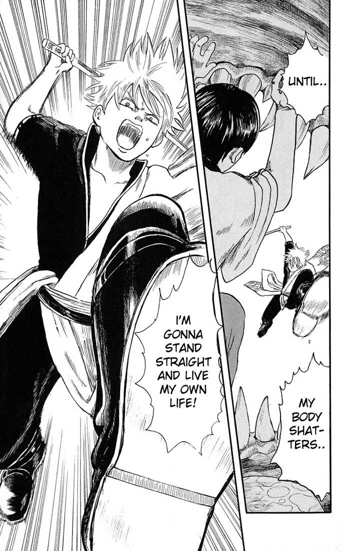 Gintama Chapter 2 page 21 - Chapter 2 : Owner should take care of their pets until the end.