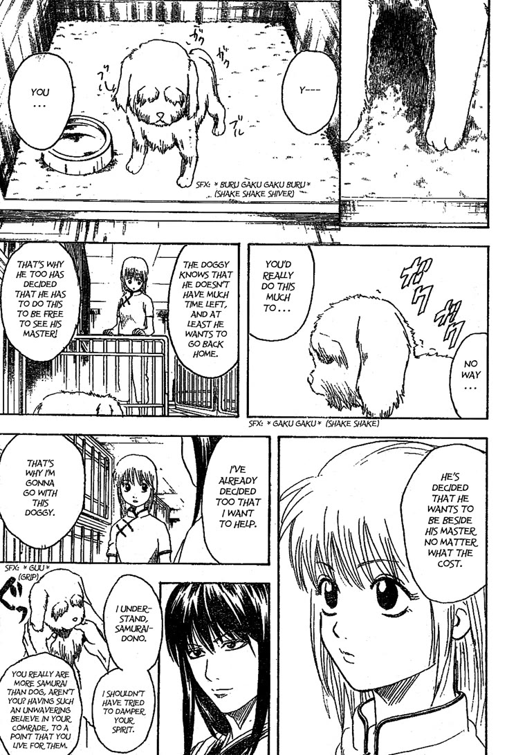 Gintama Chapter 207 page 11 - Chapter 207: Be Careful Of What You Pick Up And Eat