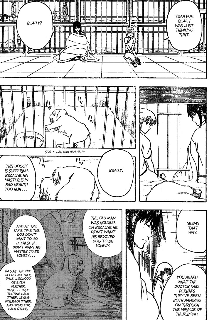 Gintama Chapter 207 page 9 - Chapter 207: Be Careful Of What You Pick Up And Eat
