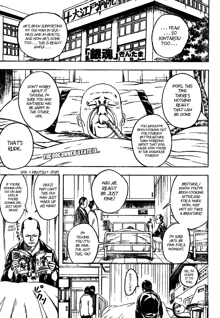 Gintama Chapter 208 page 1 - Chapter 208: Cat Owners And Dog Owners Never See Eye To Eye