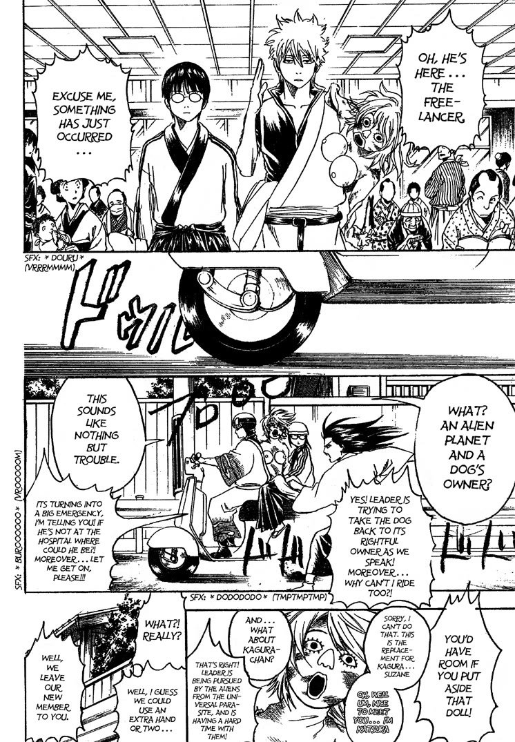 Gintama Chapter 208 page 10 - Chapter 208: Cat Owners And Dog Owners Never See Eye To Eye