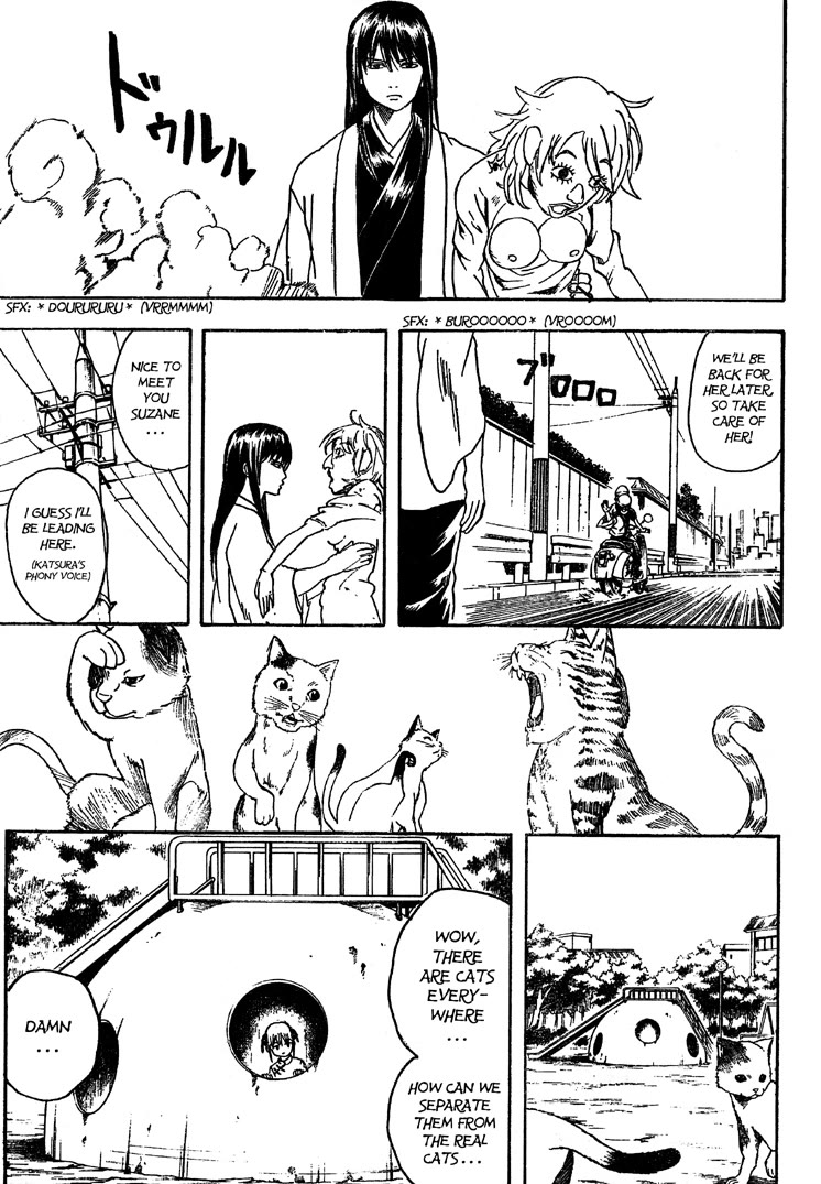 Gintama Chapter 208 page 11 - Chapter 208: Cat Owners And Dog Owners Never See Eye To Eye