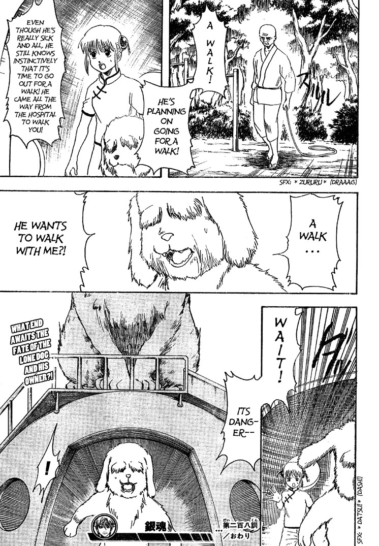 Gintama Chapter 208 page 19 - Chapter 208: Cat Owners And Dog Owners Never See Eye To Eye