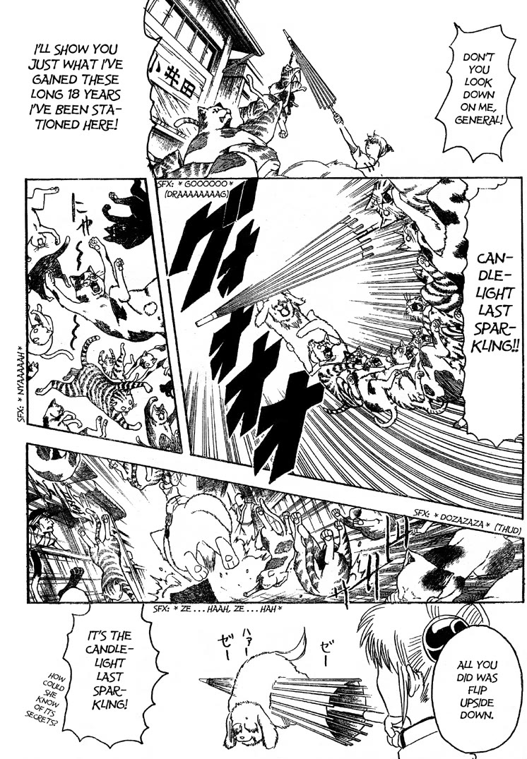 Gintama Chapter 208 page 8 - Chapter 208: Cat Owners And Dog Owners Never See Eye To Eye