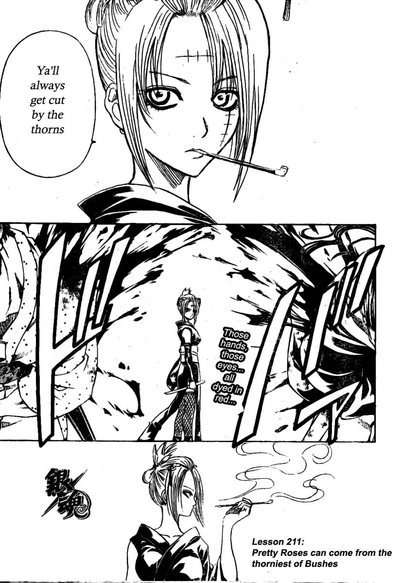 Gintama Chapter 211 page 5 - Chapter 211: Pretty roses can come from the thorniest of bushes