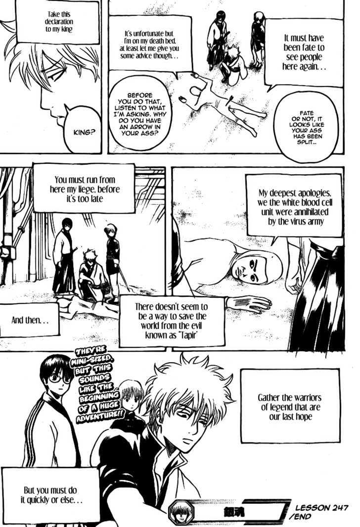 Gintama Chapter 247 page 20 - Chapter 247 : Smooth polygons smooth out a person's heart