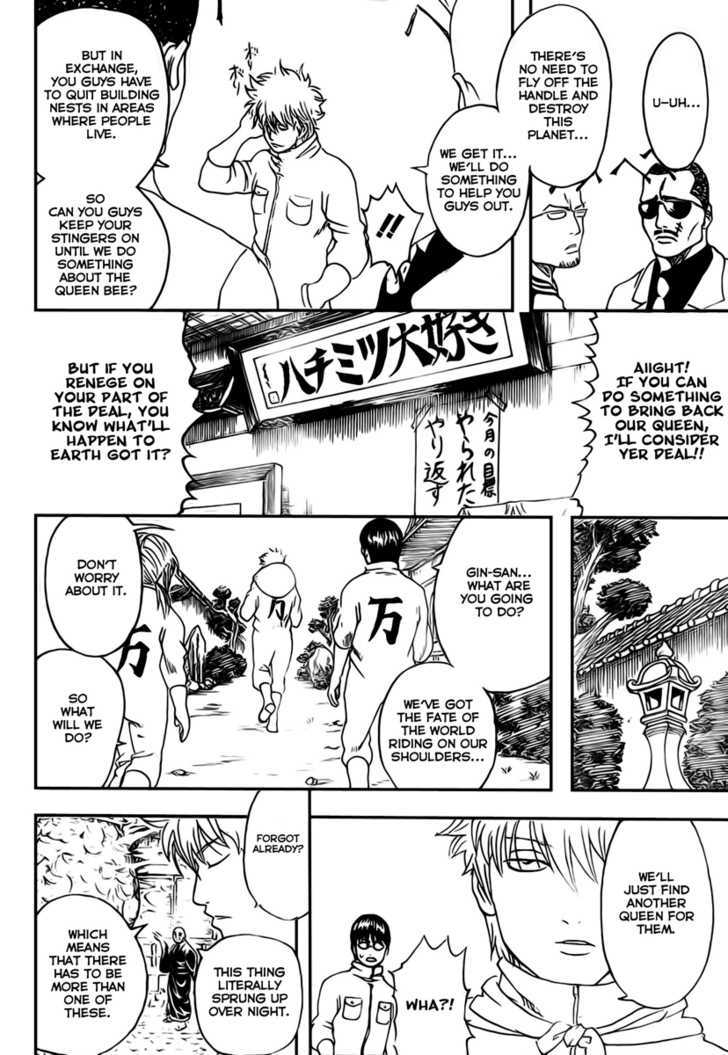 Gintama Chapter 269 page 13 - Chapter 269 : It's only a superstition that bees stings go away when you piss on them. In reality it's just a great way to get germs, so be careful!