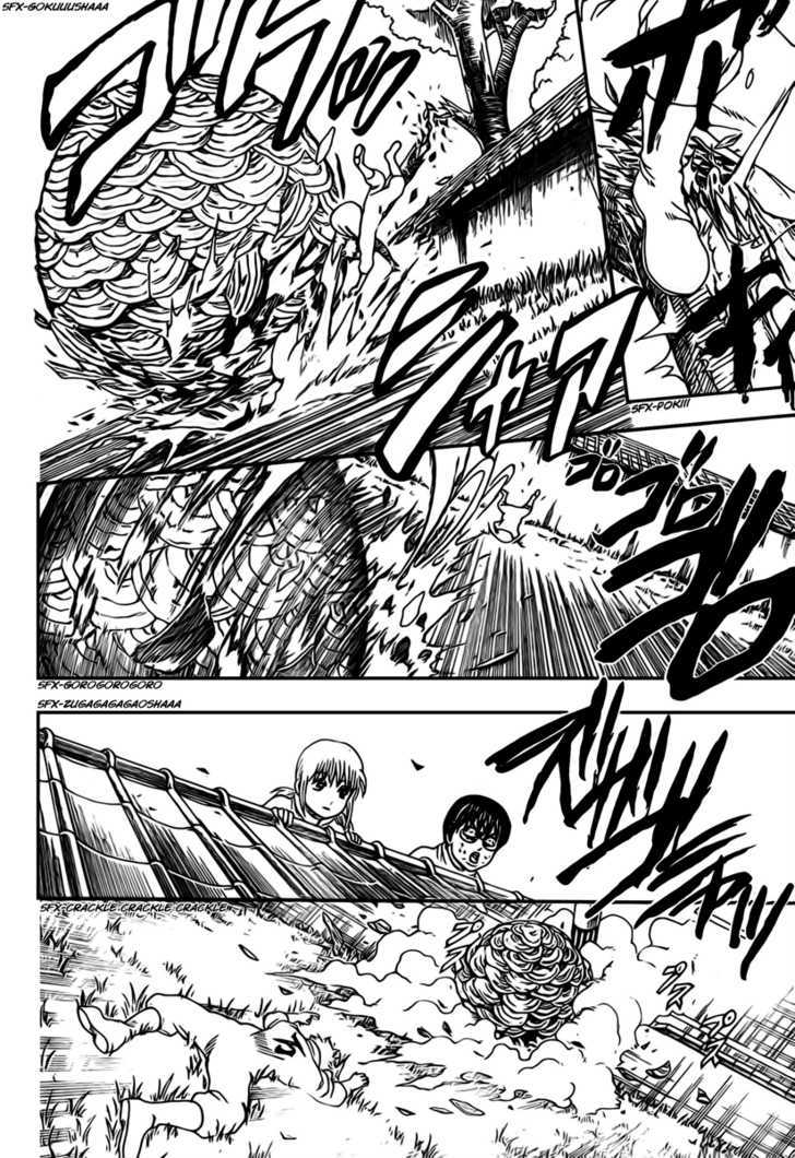Gintama Chapter 269 page 15 - Chapter 269 : It's only a superstition that bees stings go away when you piss on them. In reality it's just a great way to get germs, so be careful!