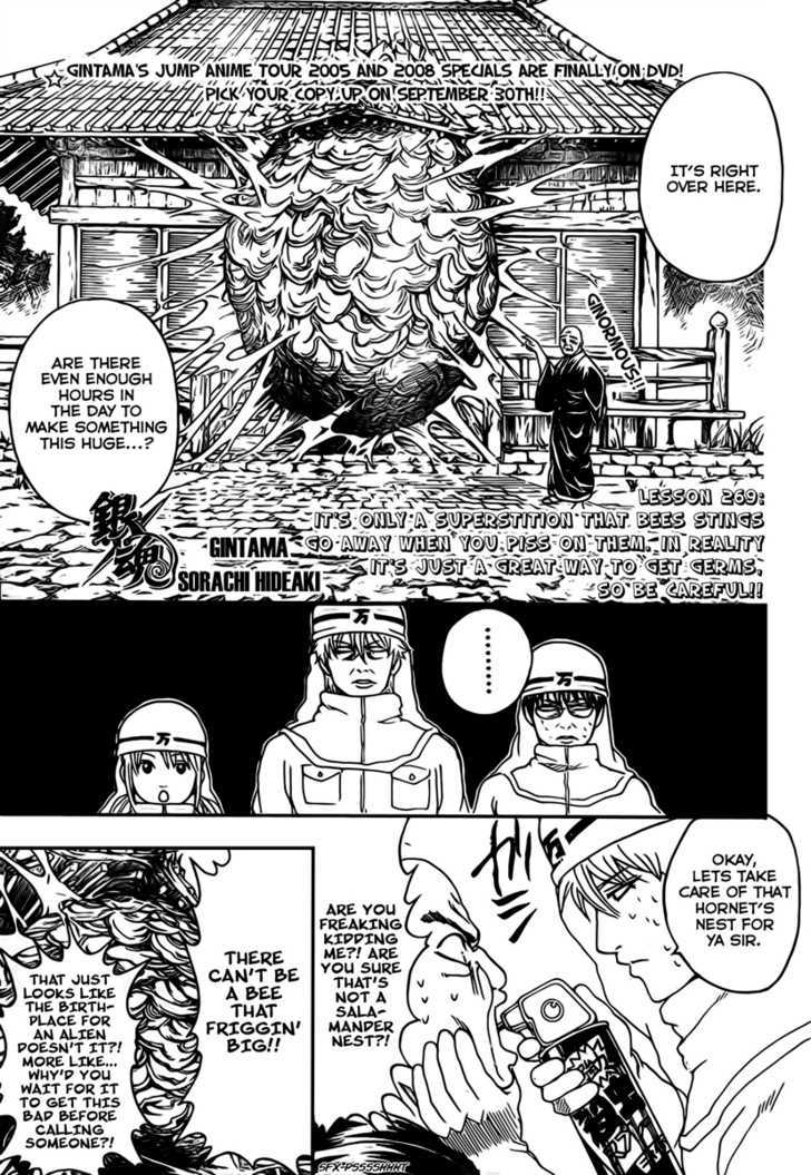 Gintama Chapter 269 page 4 - Chapter 269 : It's only a superstition that bees stings go away when you piss on them. In reality it's just a great way to get germs, so be careful!